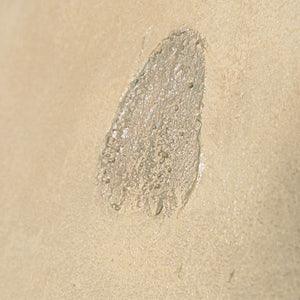 Moderne Leinwandbilder mit organischer Linie im Rahmen „Sandweg“